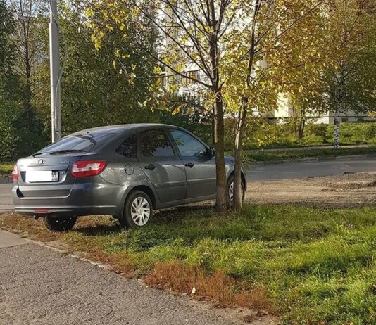 Общая сумма штрафов за неправильную парковку в Подмосковье превысила 25 млн рублей