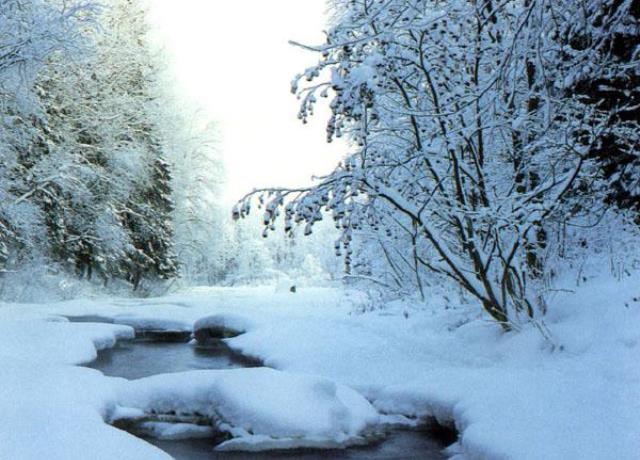 
Анастасия Узорешительница подскажет, каким будет октябрь: народные приметы и поверья на 4 января                