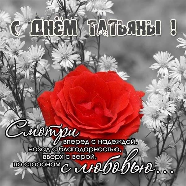 
День ангела Татьяны 25 января: поздравления и открытки                