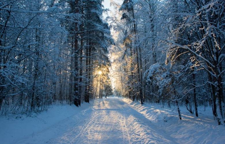 
Прокопьев день 5 декабря: что наши предки пытались найти в лесу и почему не давали деньги в долг                